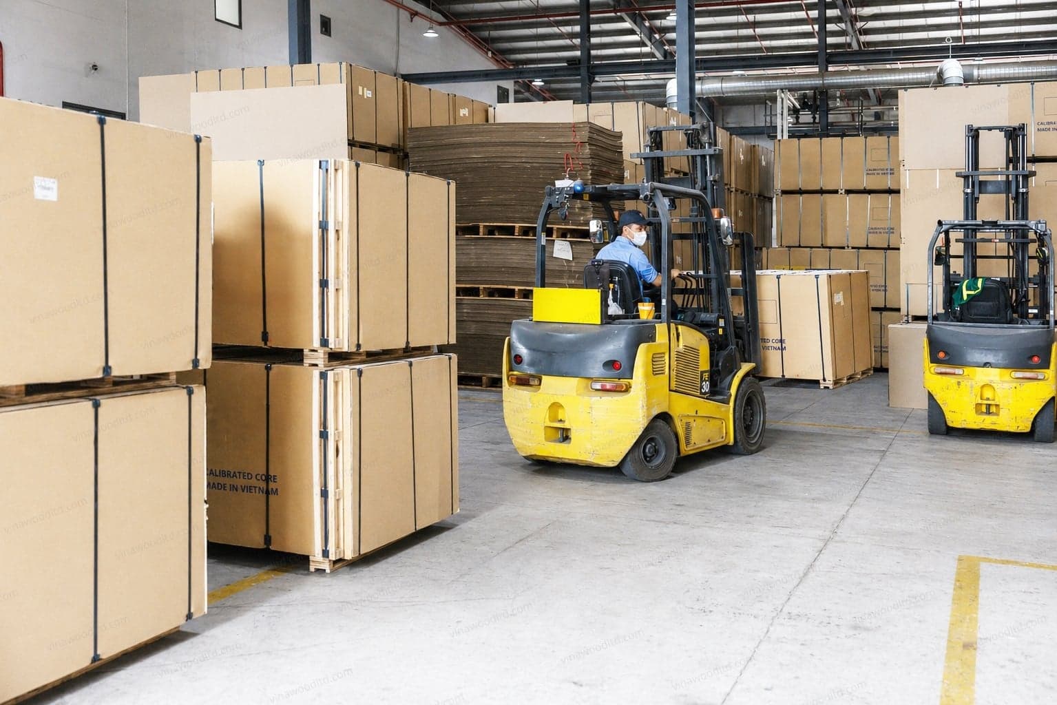 Why Vietnam Became a Plywood Export Hub
