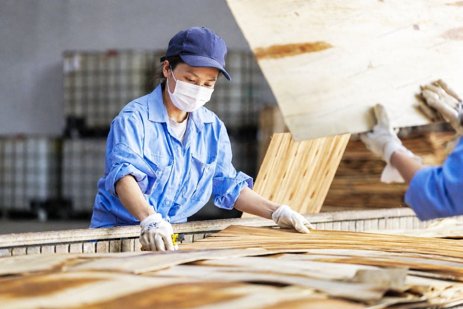 How Vietnam plywood is made